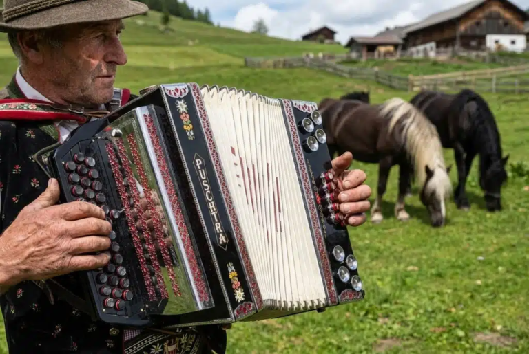 Weitere Harmonikas 03